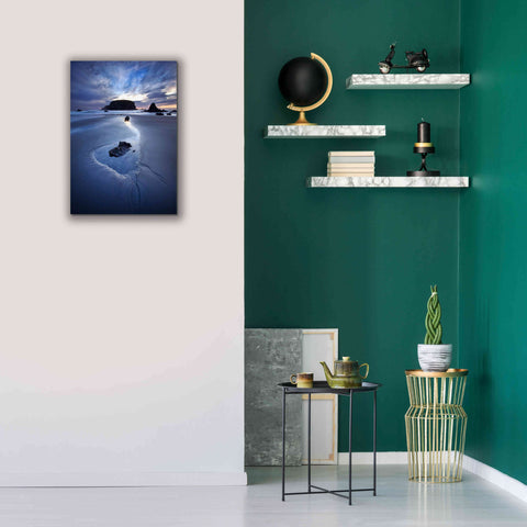 Image of 'Reflection Whale Head' by Thomas Haney, Giclee Canvas Wall Art,18 x 26