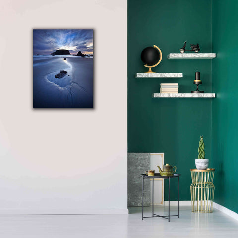 Image of 'Reflection Whale Head' by Thomas Haney, Giclee Canvas Wall Art,26 x 34