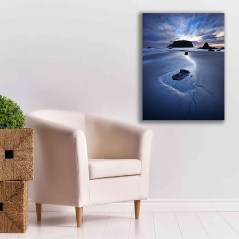 Image of 'Reflection Whale Head' by Thomas Haney, Giclee Canvas Wall Art,26 x 34