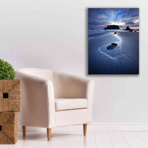 'Reflection Whale Head' by Thomas Haney, Giclee Canvas Wall Art,26 x 34