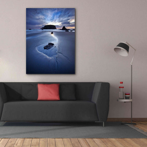 Image of 'Reflection Whale Head' by Thomas Haney, Giclee Canvas Wall Art,40 x 54