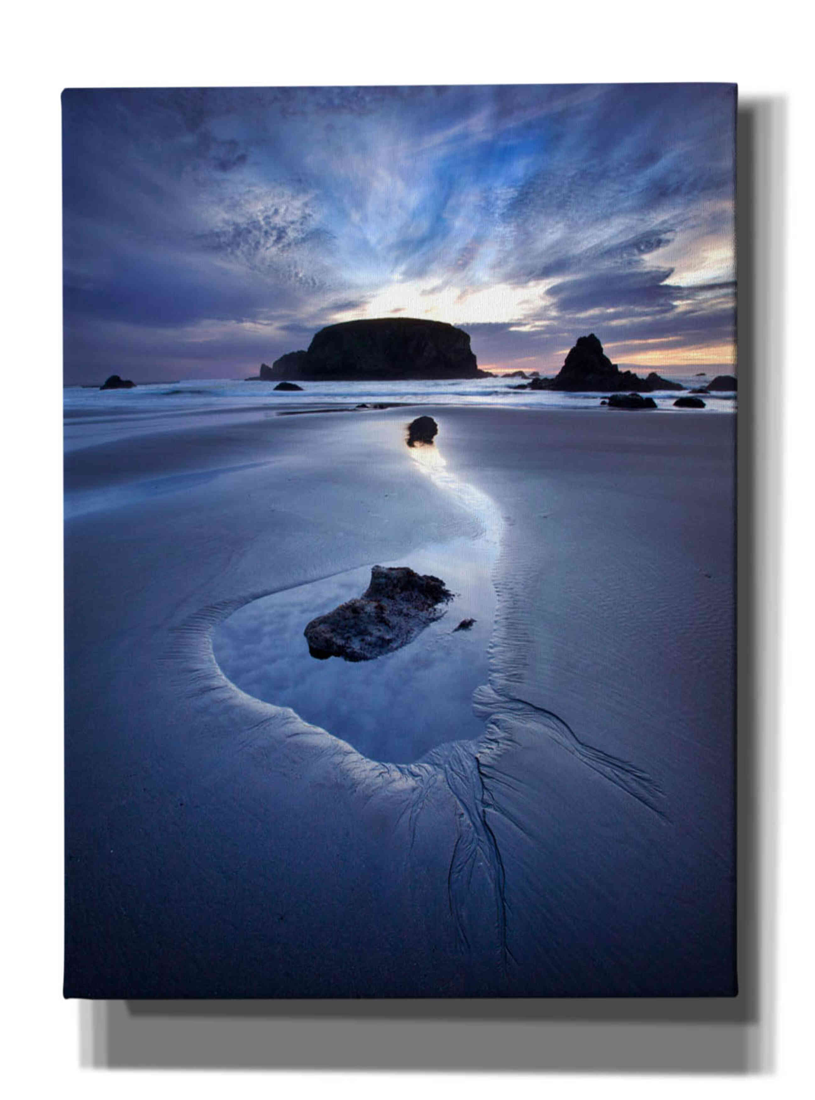 'Reflection Whale Head' by Thomas Haney, Giclee Canvas Wall Art