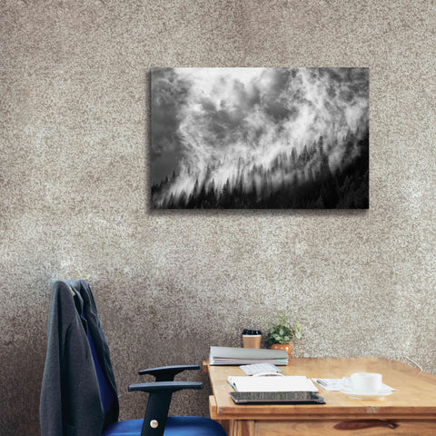 Image of 'Rising Mist 3' by Thomas Haney, Giclee Canvas Wall Art,40 x 26