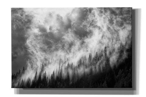 Image of 'Rising Mist 3' by Thomas Haney, Giclee Canvas Wall Art