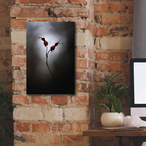 Image of 'Rose Hips' by Thomas Haney, Giclee Canvas Wall Art,12 x 18