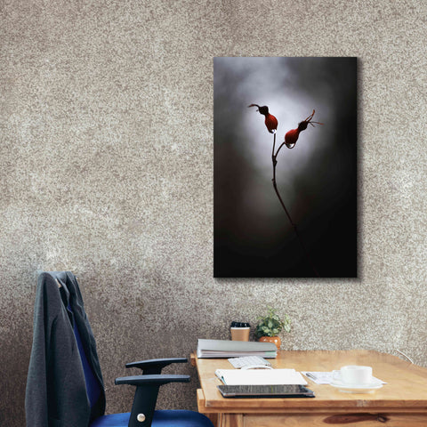 Image of 'Rose Hips' by Thomas Haney, Giclee Canvas Wall Art,26 x 40