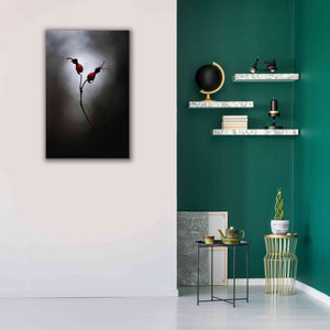 'Rose Hips' by Thomas Haney, Giclee Canvas Wall Art,26 x 40