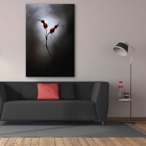 Image of 'Rose Hips' by Thomas Haney, Giclee Canvas Wall Art,40 x 60
