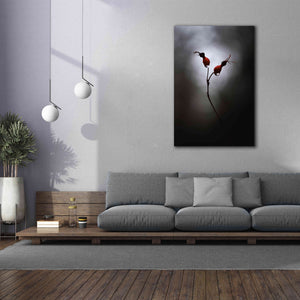 'Rose Hips' by Thomas Haney, Giclee Canvas Wall Art,40 x 60