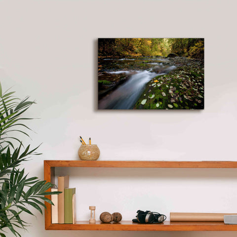 Image of 'Rushing Best' by Thomas Haney, Giclee Canvas Wall Art,18 x 12