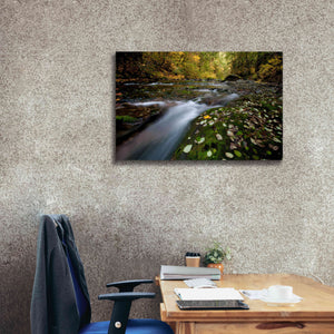 'Rushing Best' by Thomas Haney, Giclee Canvas Wall Art,40 x 26