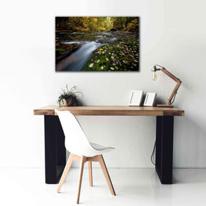 'Rushing Best' by Thomas Haney, Giclee Canvas Wall Art,40 x 26