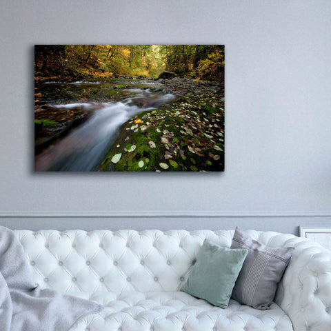Image of 'Rushing Best' by Thomas Haney, Giclee Canvas Wall Art,60 x 40