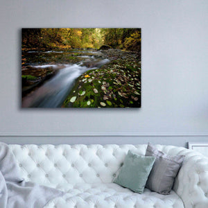 'Rushing Best' by Thomas Haney, Giclee Canvas Wall Art,60 x 40