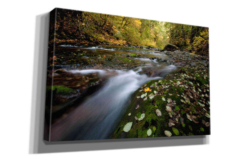 Image of 'Rushing Best' by Thomas Haney, Giclee Canvas Wall Art