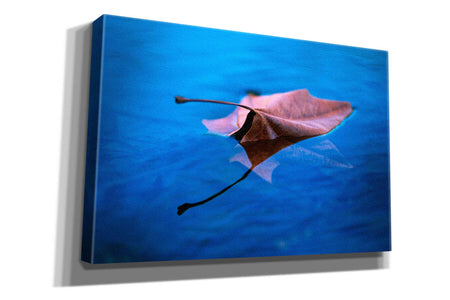 'Sycamore Reflection' by Thomas Haney, Giclee Canvas Wall Art