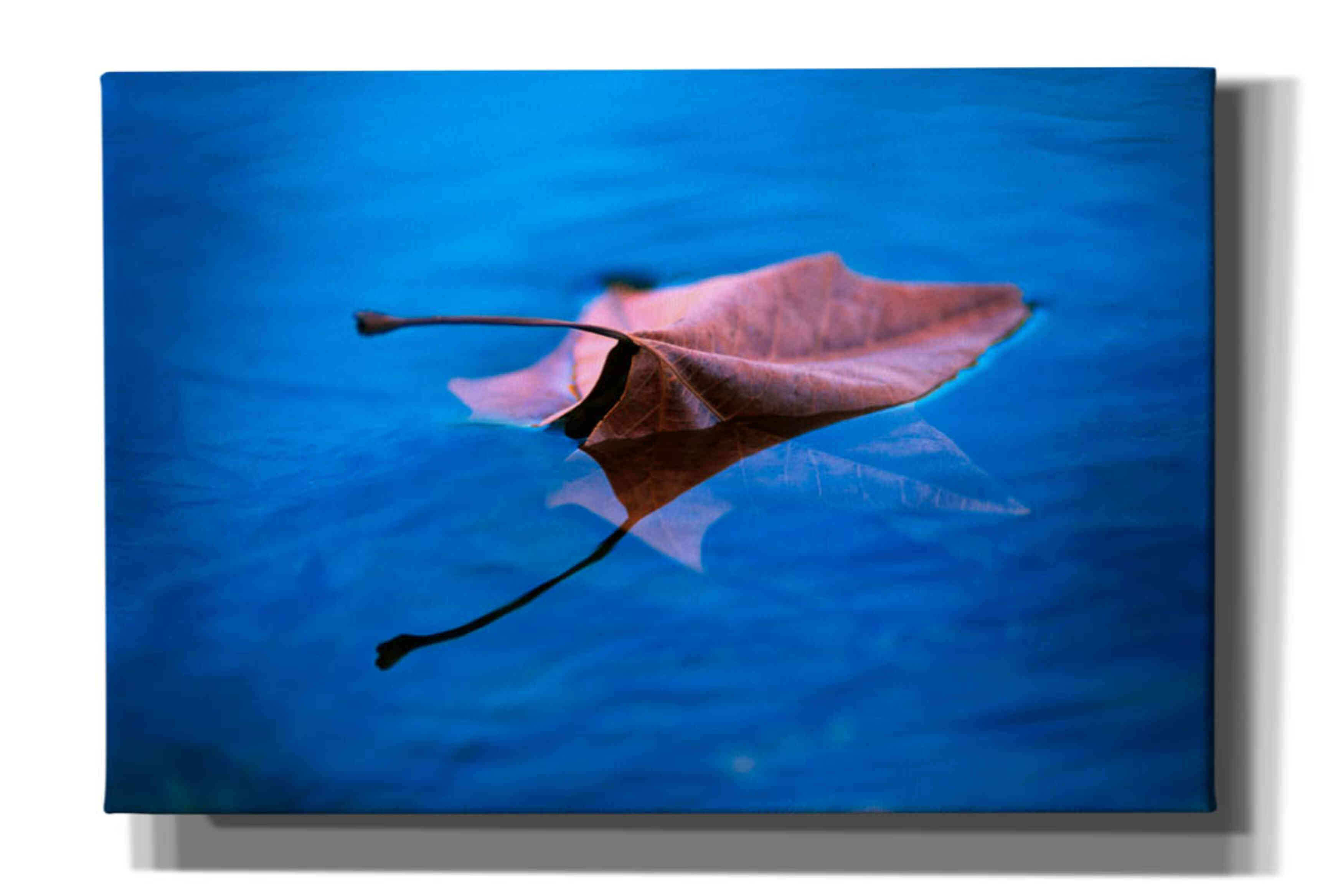 'Sycamore Reflection' by Thomas Haney, Giclee Canvas Wall Art