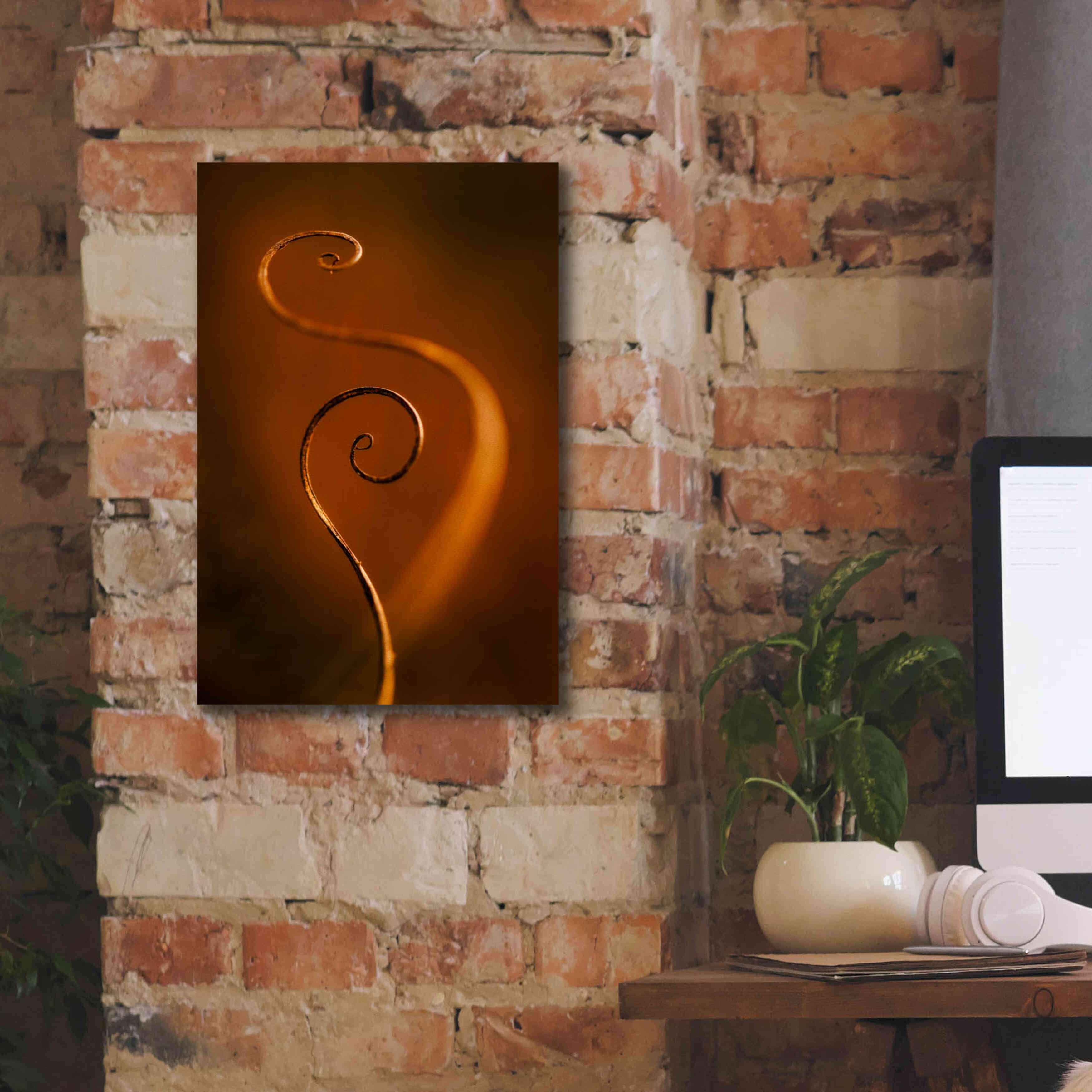 'Tendrils Red' by Thomas Haney, Giclee Canvas Wall Art,12 x 18