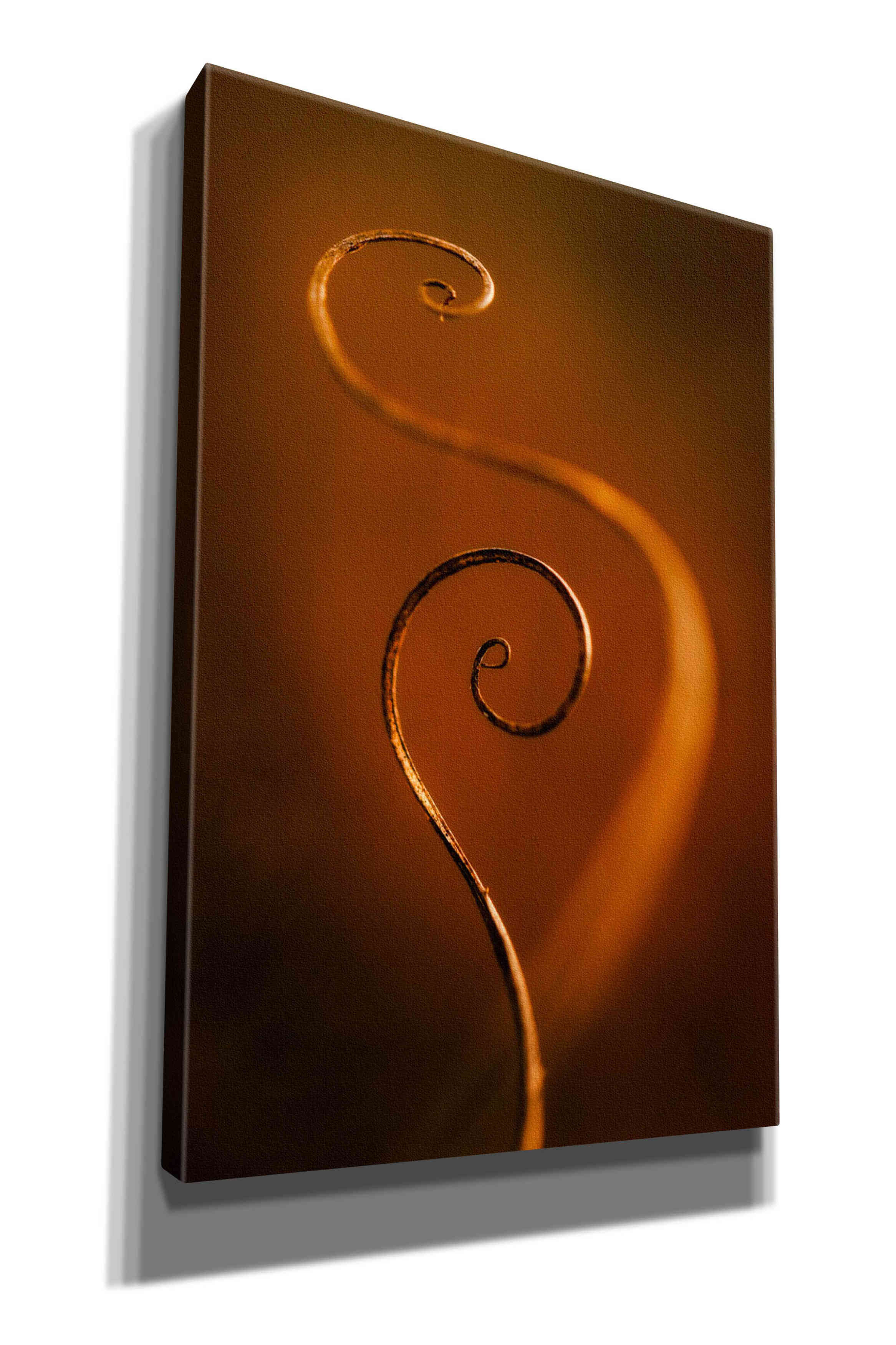 'Tendrils Red' by Thomas Haney, Giclee Canvas Wall Art