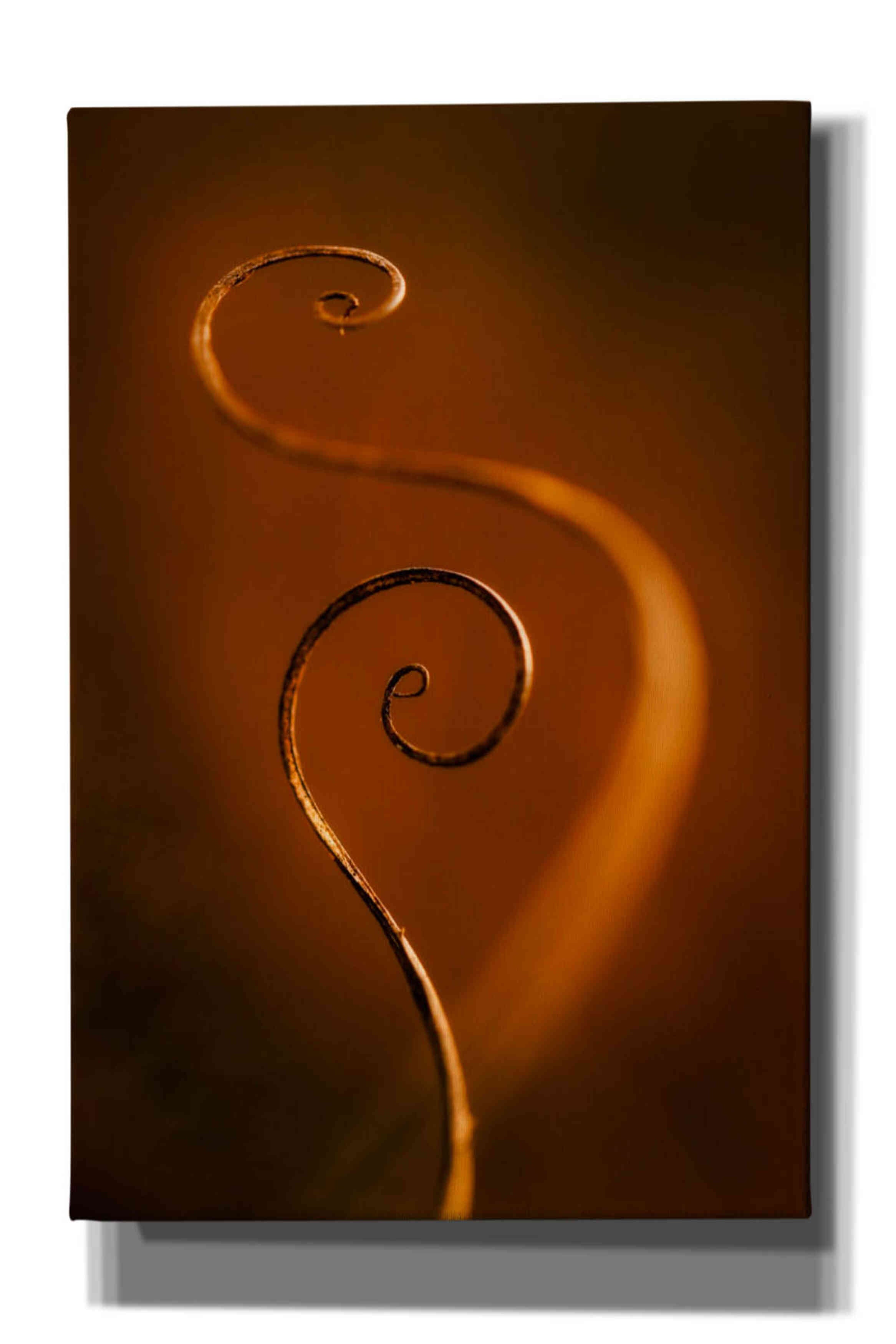 'Tendrils Red' by Thomas Haney, Giclee Canvas Wall Art