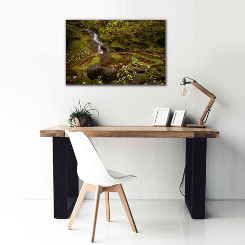 Image of 'Three Blurs' by Thomas Haney, Giclee Canvas Wall Art,40 x 26