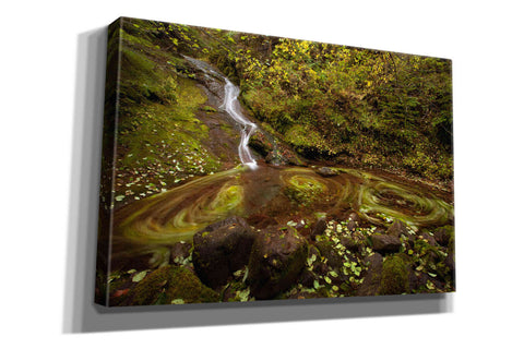 Image of 'Three Blurs' by Thomas Haney, Giclee Canvas Wall Art