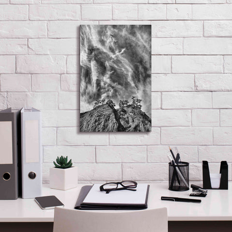 Image of 'Tree Island Clouds B&W Pushed' by Thomas Haney, Giclee Canvas Wall Art,12 x 18