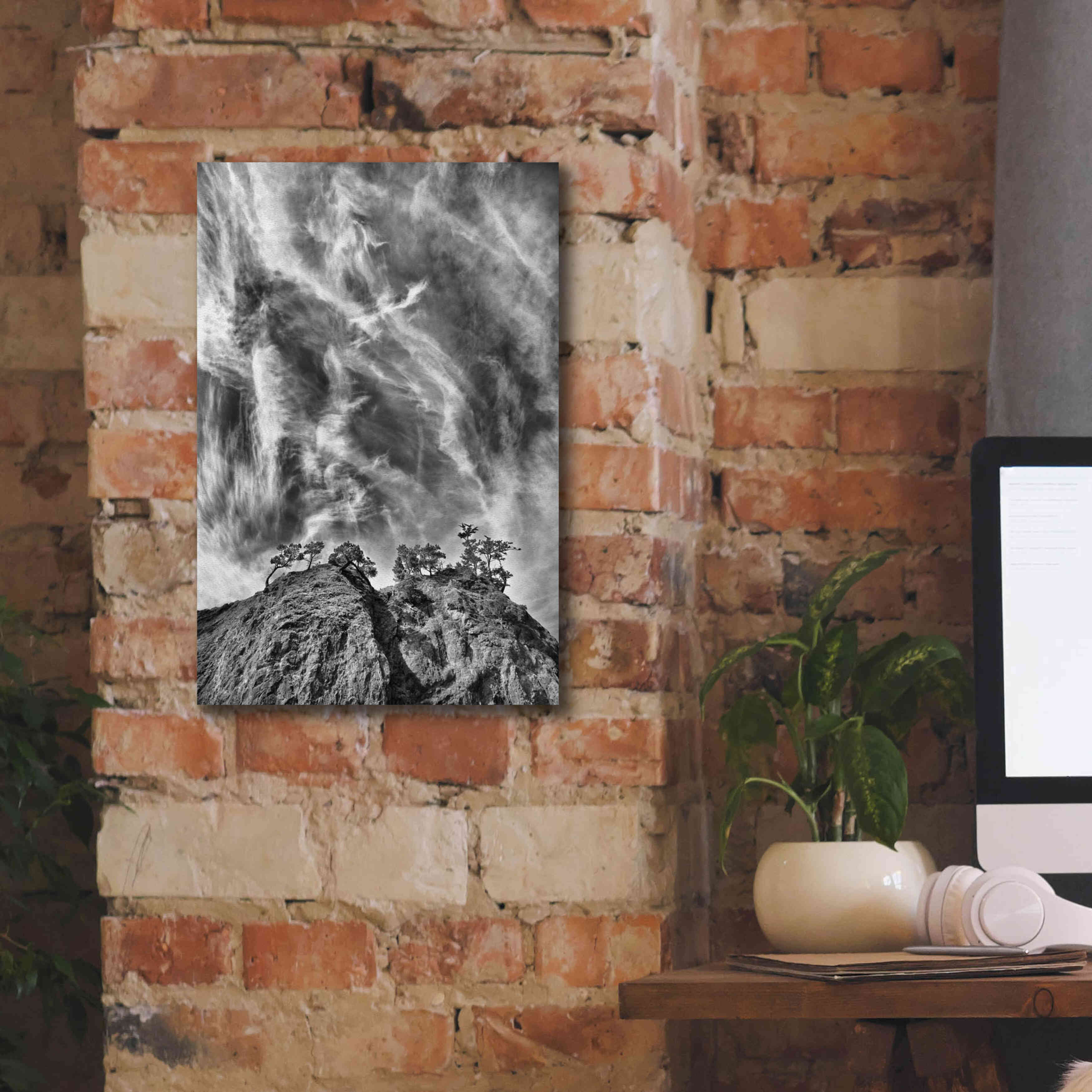 'Tree Island Clouds B&W Pushed' by Thomas Haney, Giclee Canvas Wall Art,12 x 18