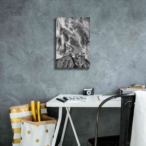 Image of 'Tree Island Clouds B&W Pushed' by Thomas Haney, Giclee Canvas Wall Art,12 x 18