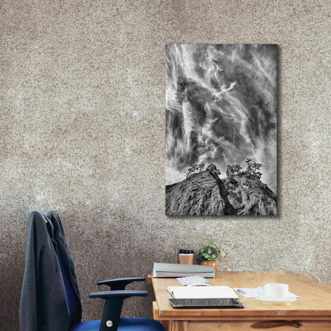 Image of 'Tree Island Clouds B&W Pushed' by Thomas Haney, Giclee Canvas Wall Art,26 x 40