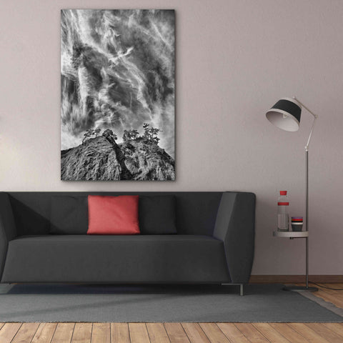Image of 'Tree Island Clouds B&W Pushed' by Thomas Haney, Giclee Canvas Wall Art,40 x 60