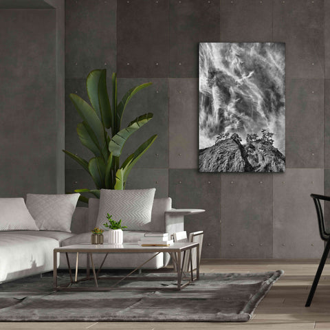 Image of 'Tree Island Clouds B&W Pushed' by Thomas Haney, Giclee Canvas Wall Art,40 x 60