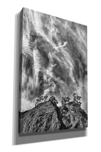 'Tree Island Clouds B&W Pushed' by Thomas Haney, Giclee Canvas Wall Art