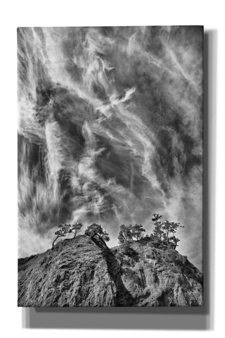 Image of 'Tree Island Clouds B&W Pushed' by Thomas Haney, Giclee Canvas Wall Art