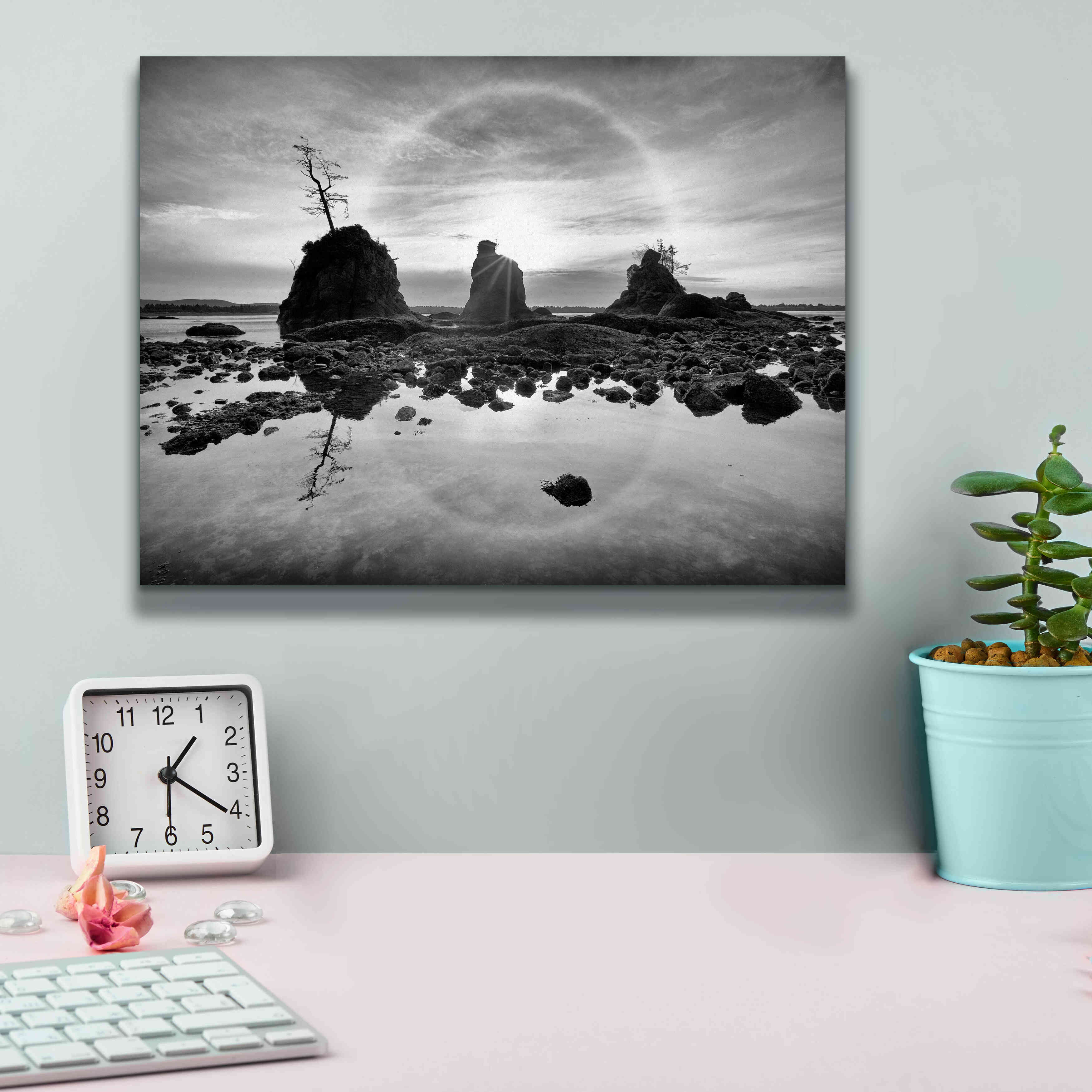 'Tree Island' by Thomas Haney, Giclee Canvas Wall Art,16 x 12