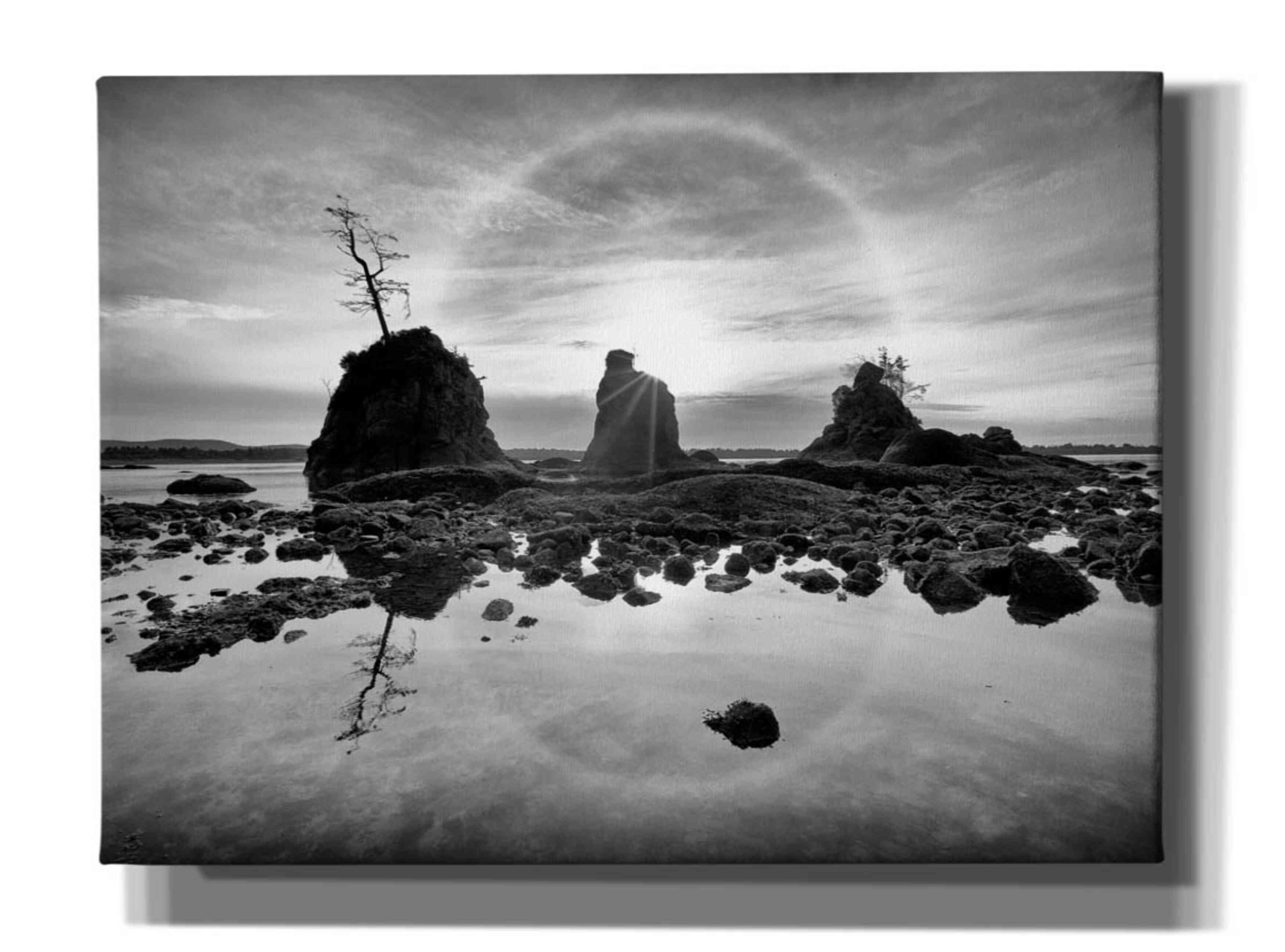 'Tree Island' by Thomas Haney, Giclee Canvas Wall Art