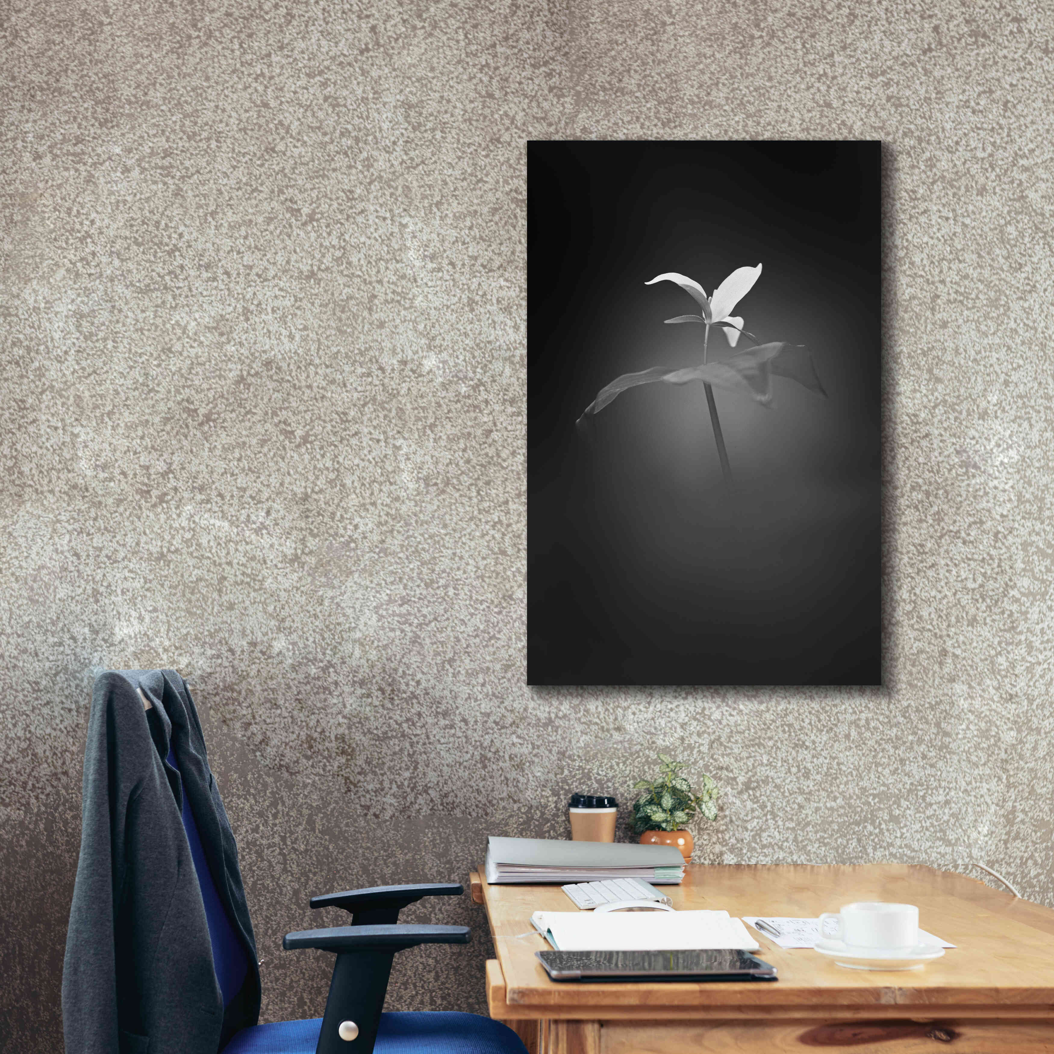 'Trillium Pastel 1 B&W' by Thomas Haney, Giclee Canvas Wall Art,26 x 40