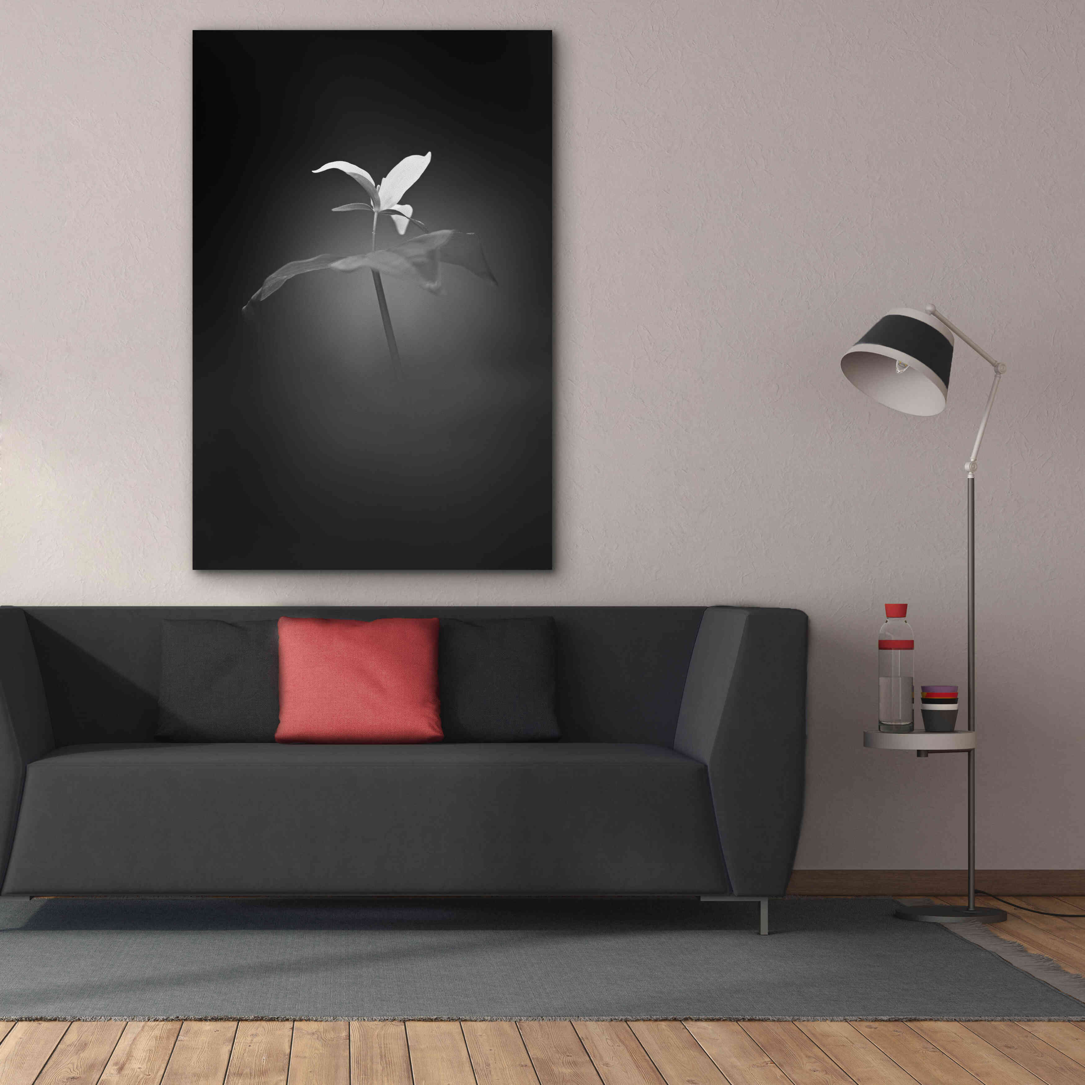'Trillium Pastel 1 B&W' by Thomas Haney, Giclee Canvas Wall Art,40 x 60