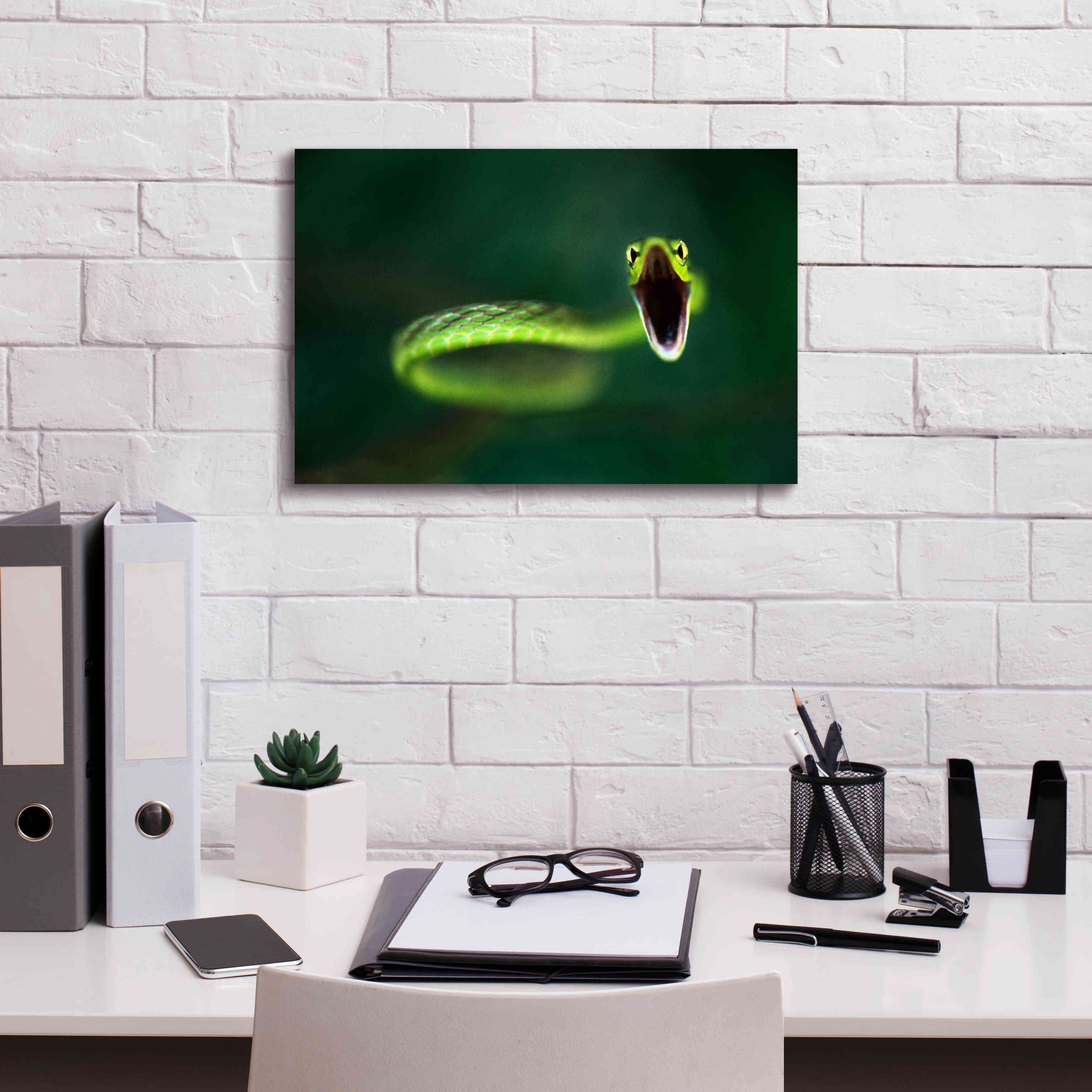 'Vine Snake' by Thomas Haney, Giclee Canvas Wall Art,18 x 12