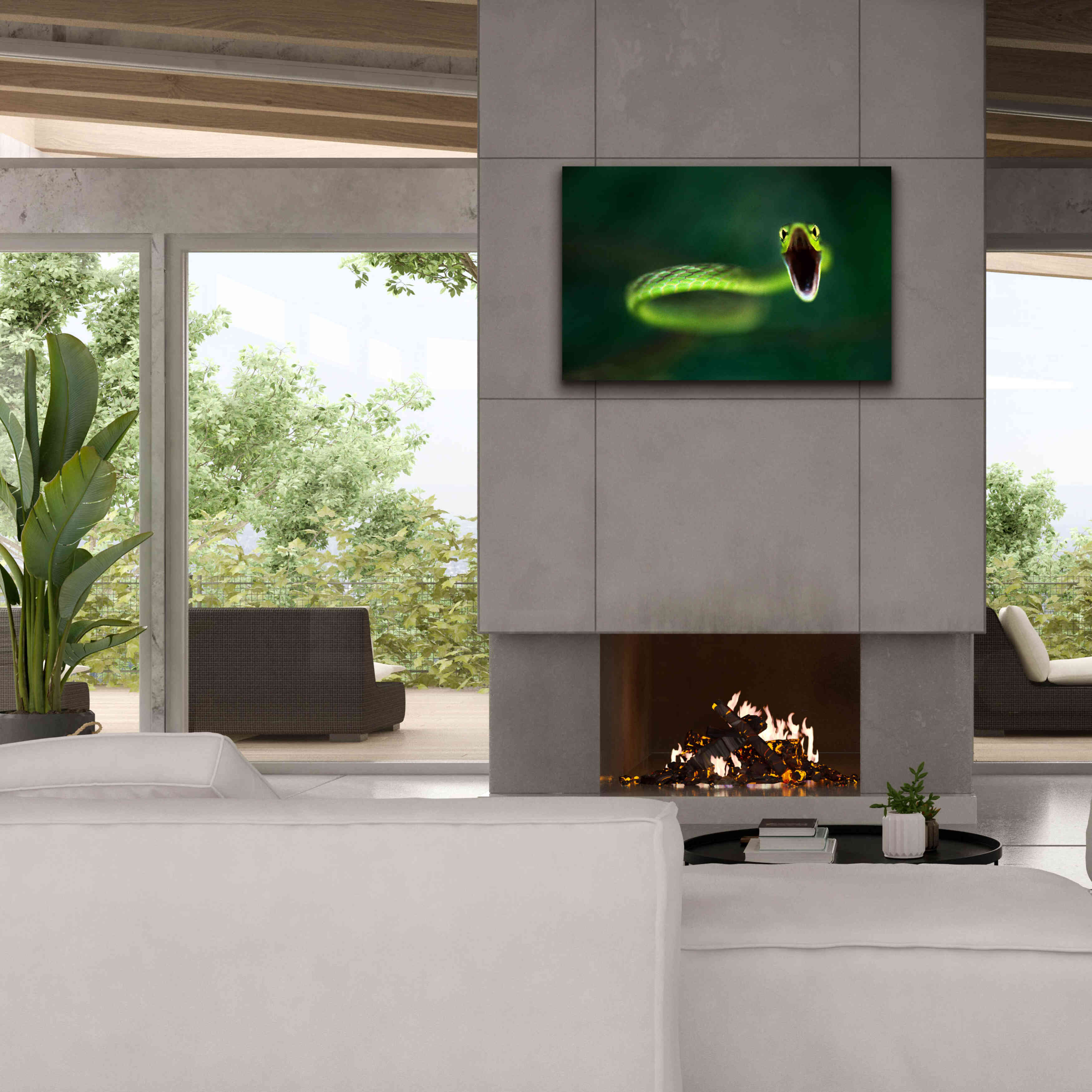 'Vine Snake' by Thomas Haney, Giclee Canvas Wall Art,40 x 26