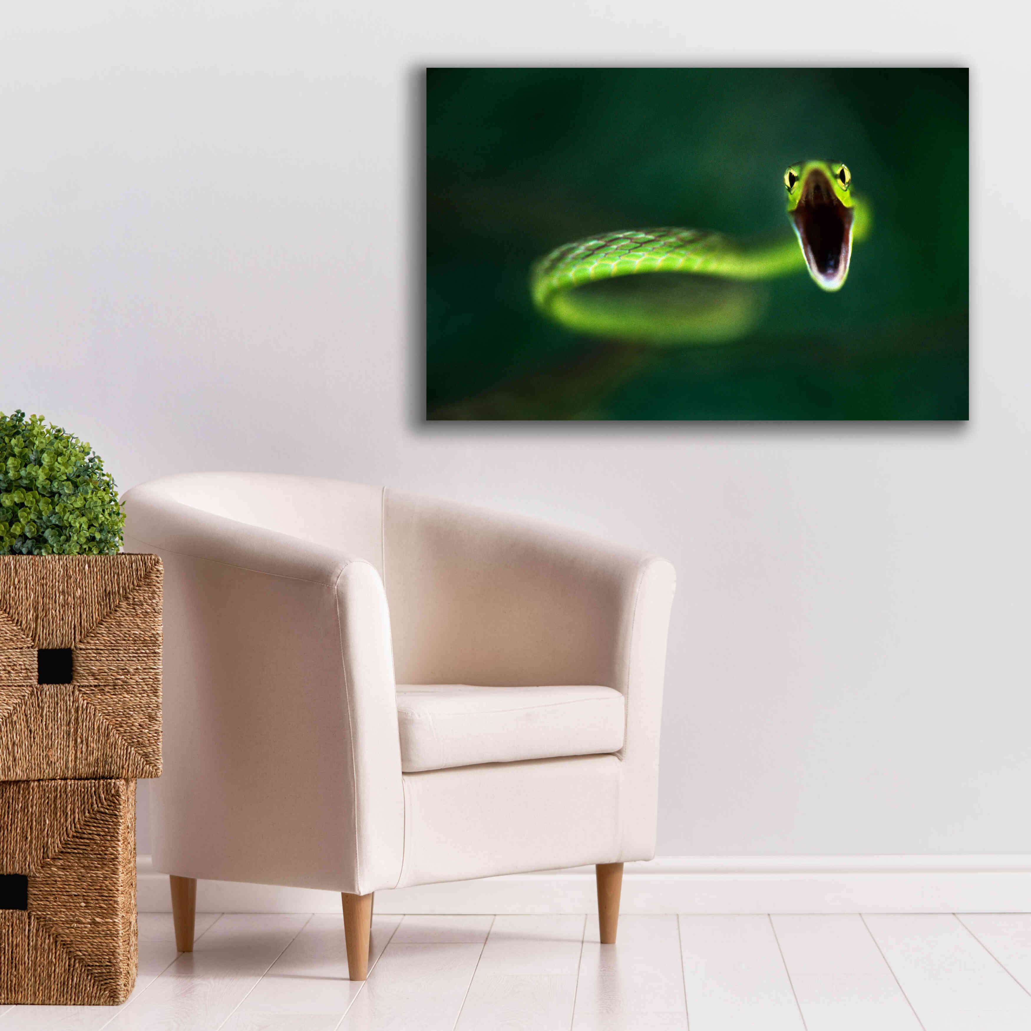 'Vine Snake' by Thomas Haney, Giclee Canvas Wall Art,40 x 26