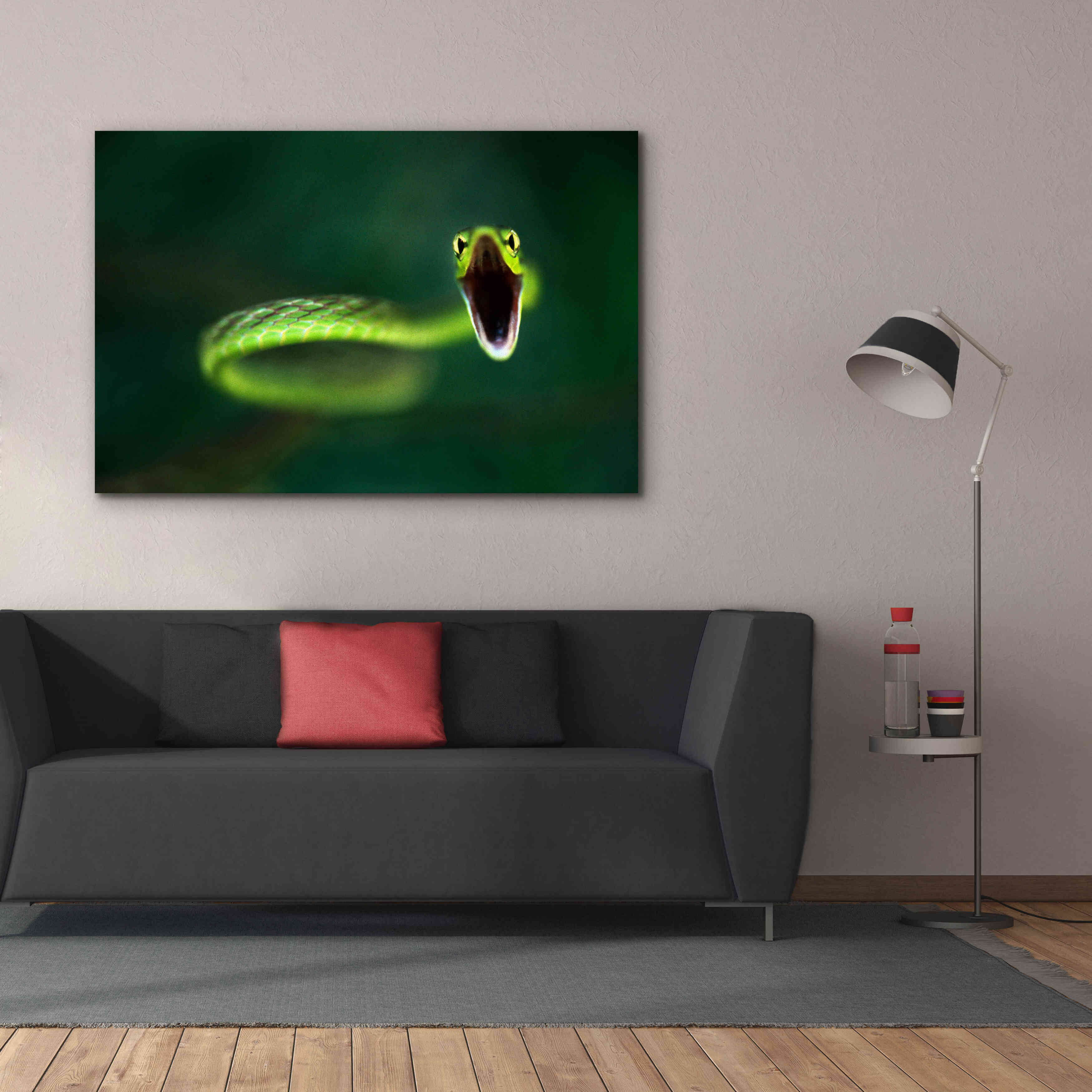 'Vine Snake' by Thomas Haney, Giclee Canvas Wall Art,60 x 40