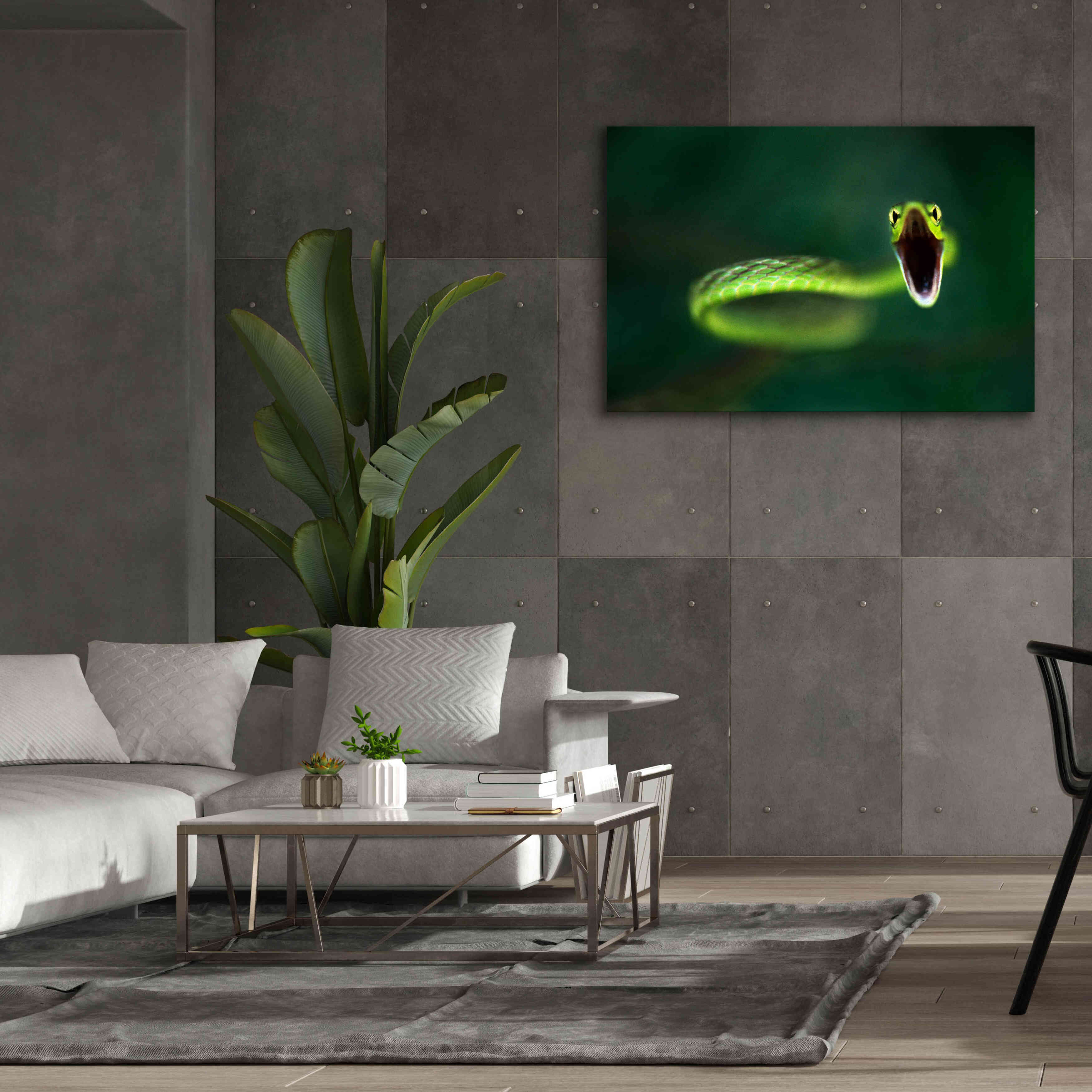 'Vine Snake' by Thomas Haney, Giclee Canvas Wall Art,60 x 40