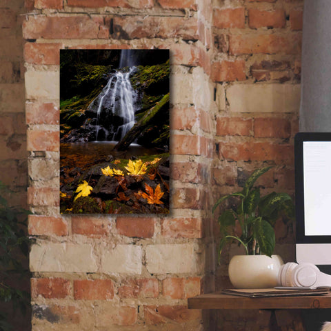 Image of 'Waterfall Maple Leaves' by Thomas Haney, Giclee Canvas Wall Art,12 x 18