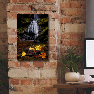 'Waterfall Maple Leaves' by Thomas Haney, Giclee Canvas Wall Art,12 x 18