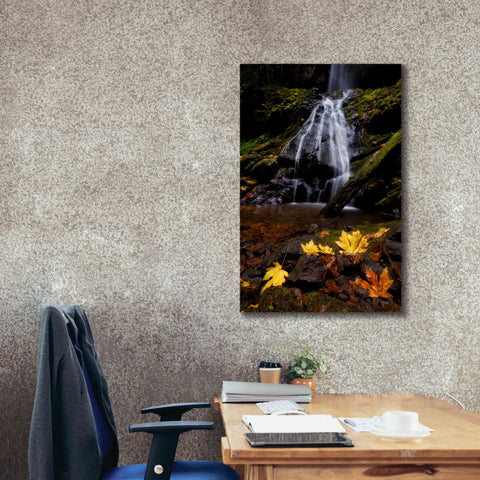 Image of 'Waterfall Maple Leaves' by Thomas Haney, Giclee Canvas Wall Art,26 x 40