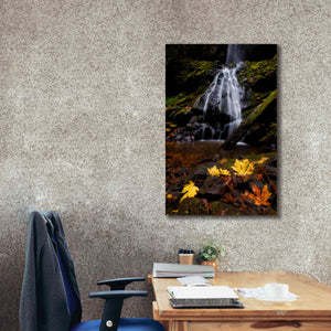 'Waterfall Maple Leaves' by Thomas Haney, Giclee Canvas Wall Art,26 x 40