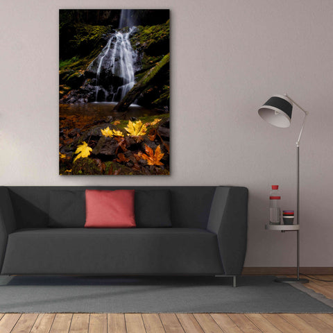 Image of 'Waterfall Maple Leaves' by Thomas Haney, Giclee Canvas Wall Art,40 x 60