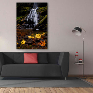 'Waterfall Maple Leaves' by Thomas Haney, Giclee Canvas Wall Art,40 x 60