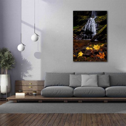 Image of 'Waterfall Maple Leaves' by Thomas Haney, Giclee Canvas Wall Art,40 x 60